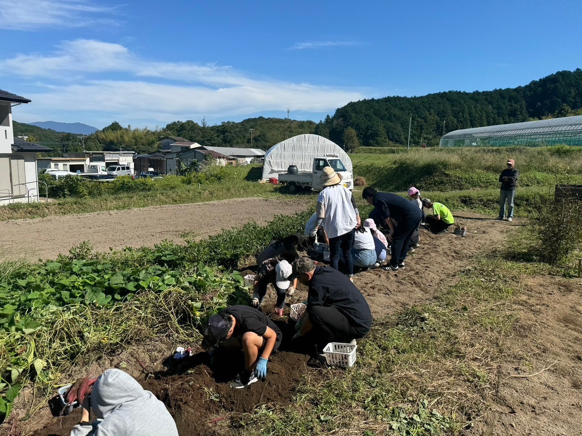 たすいちファームにて「芋掘り体験」を実施いたしました。